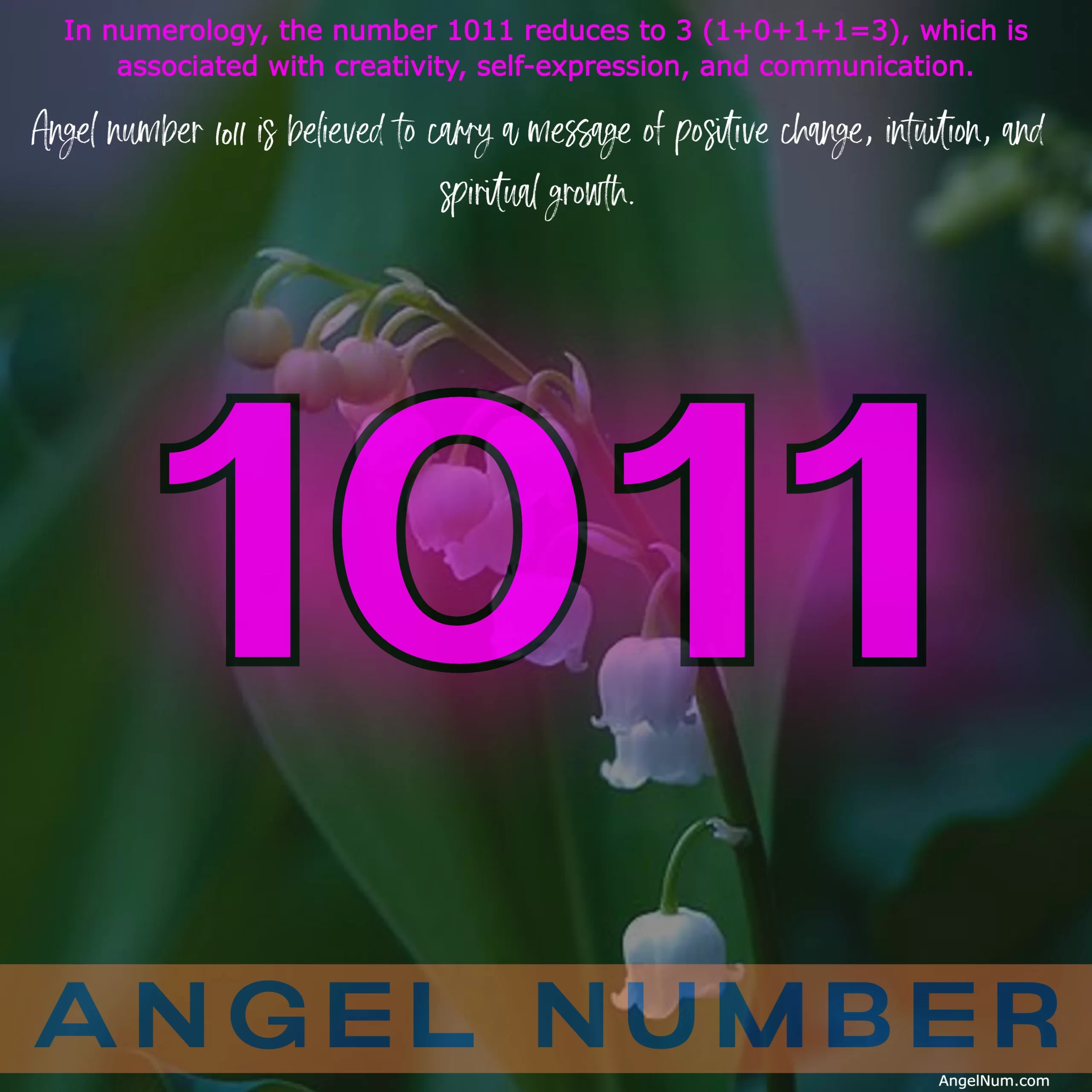 Discovering the Meaning of Angel Number 1011: A Guide to Positive Change and Spiritual Growth