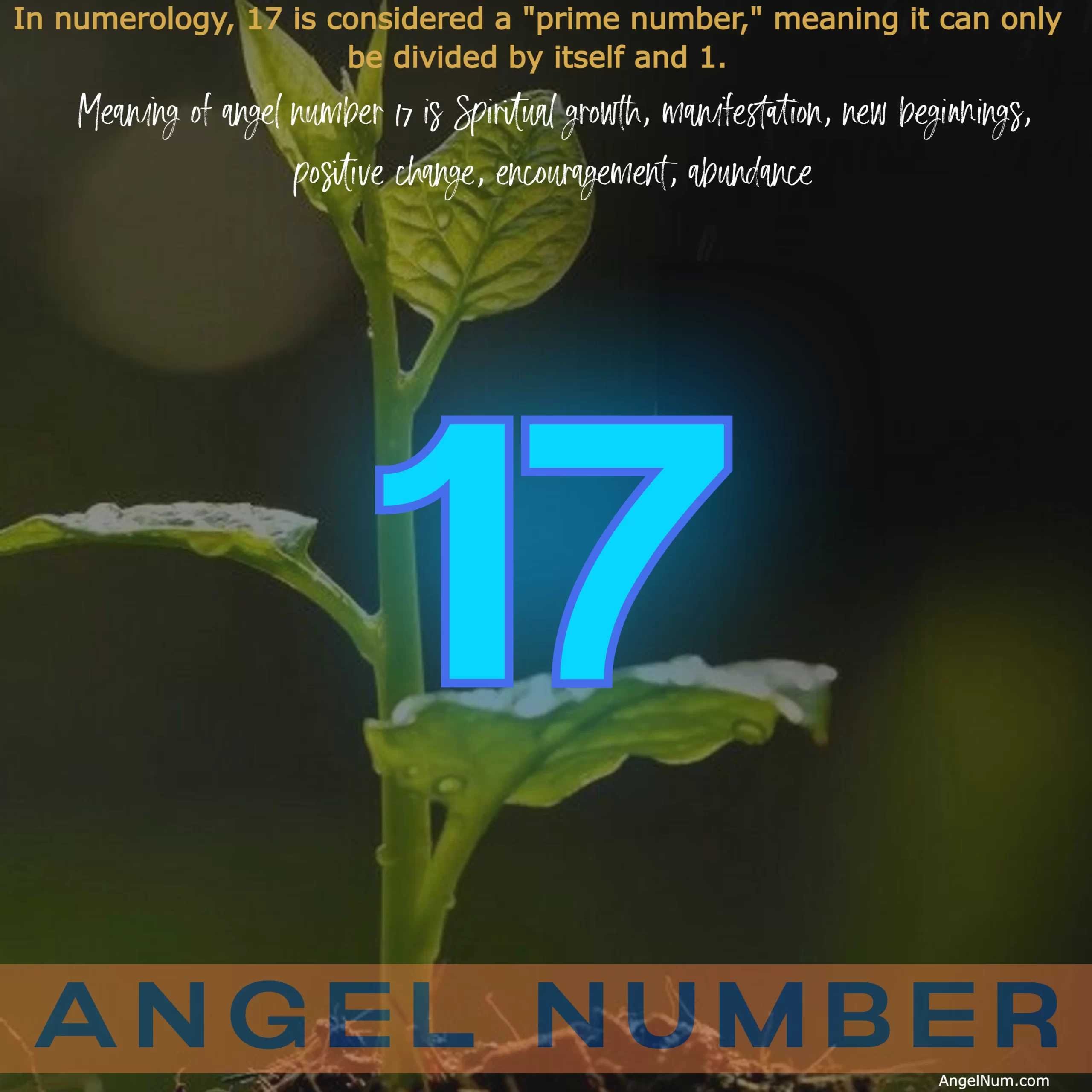 Discover the Meaning and Significance of Angel Number 17