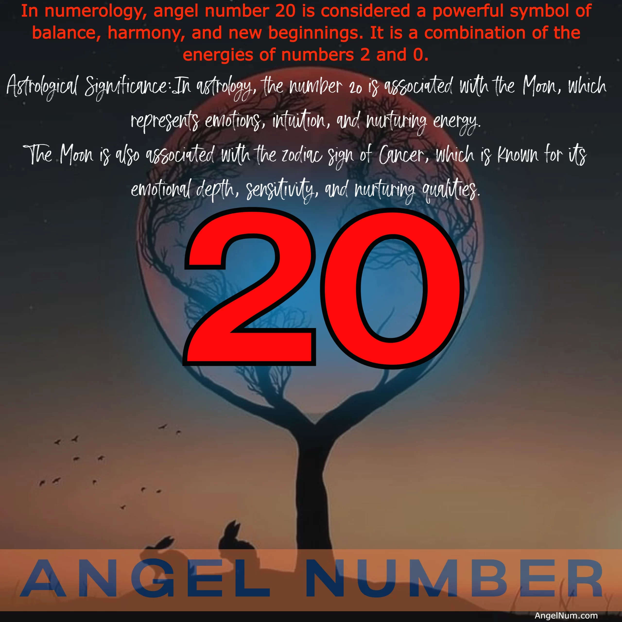 Angel Number 20: Trust in the Journey and Embrace New Beginnings