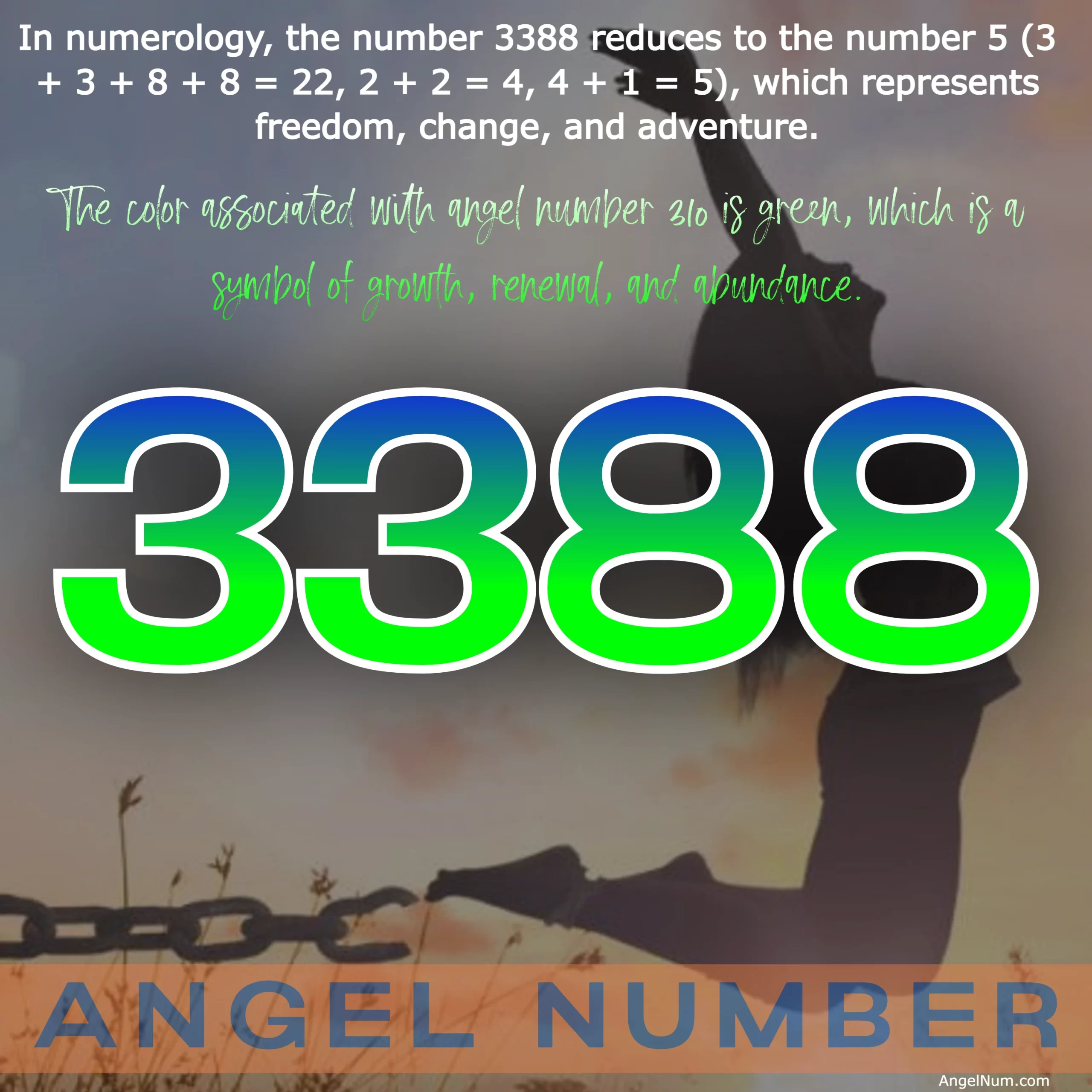 Discovering the Abundance and Success Behind Angel Number 3388