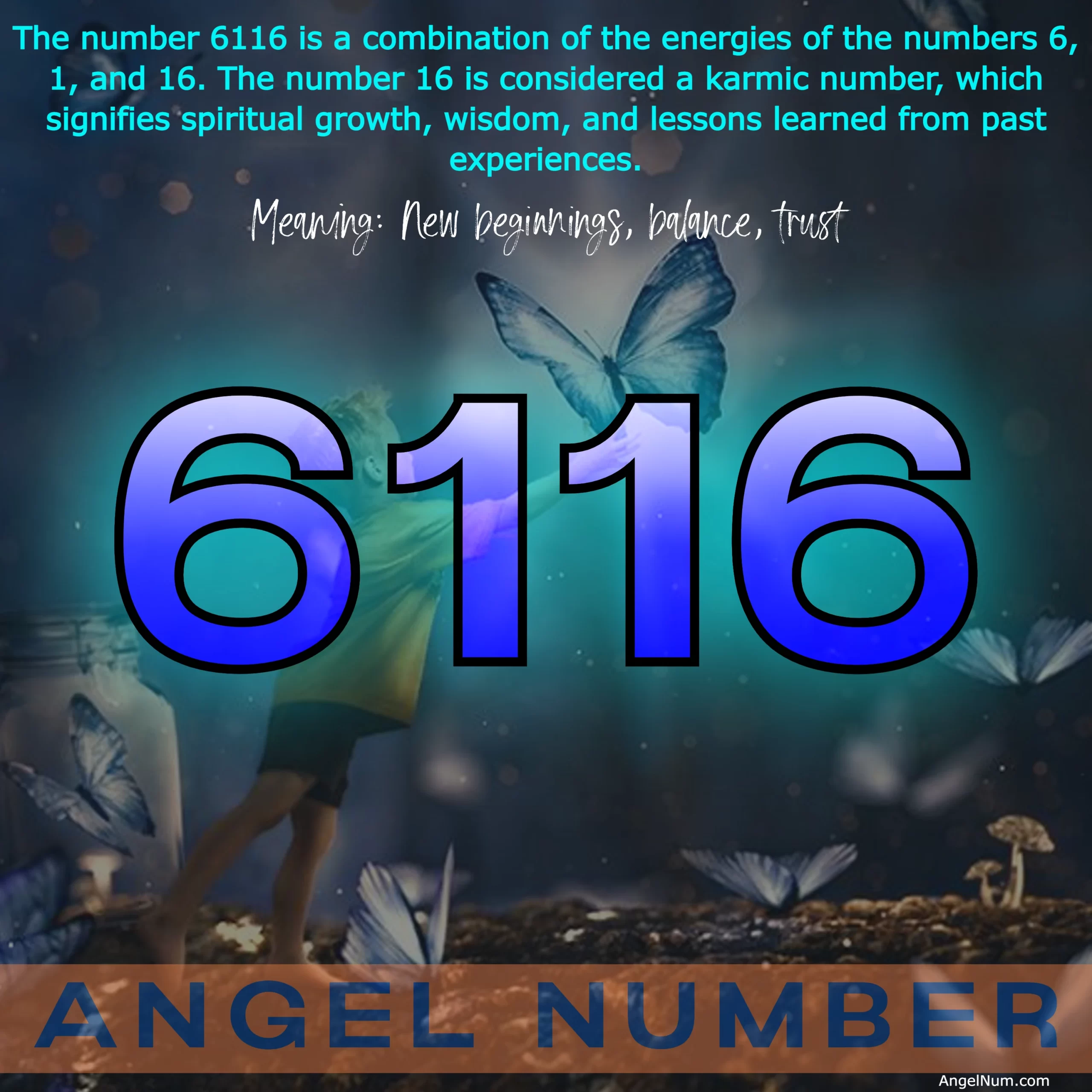 Angel Number 6116: Embrace New Beginnings and Find Balance