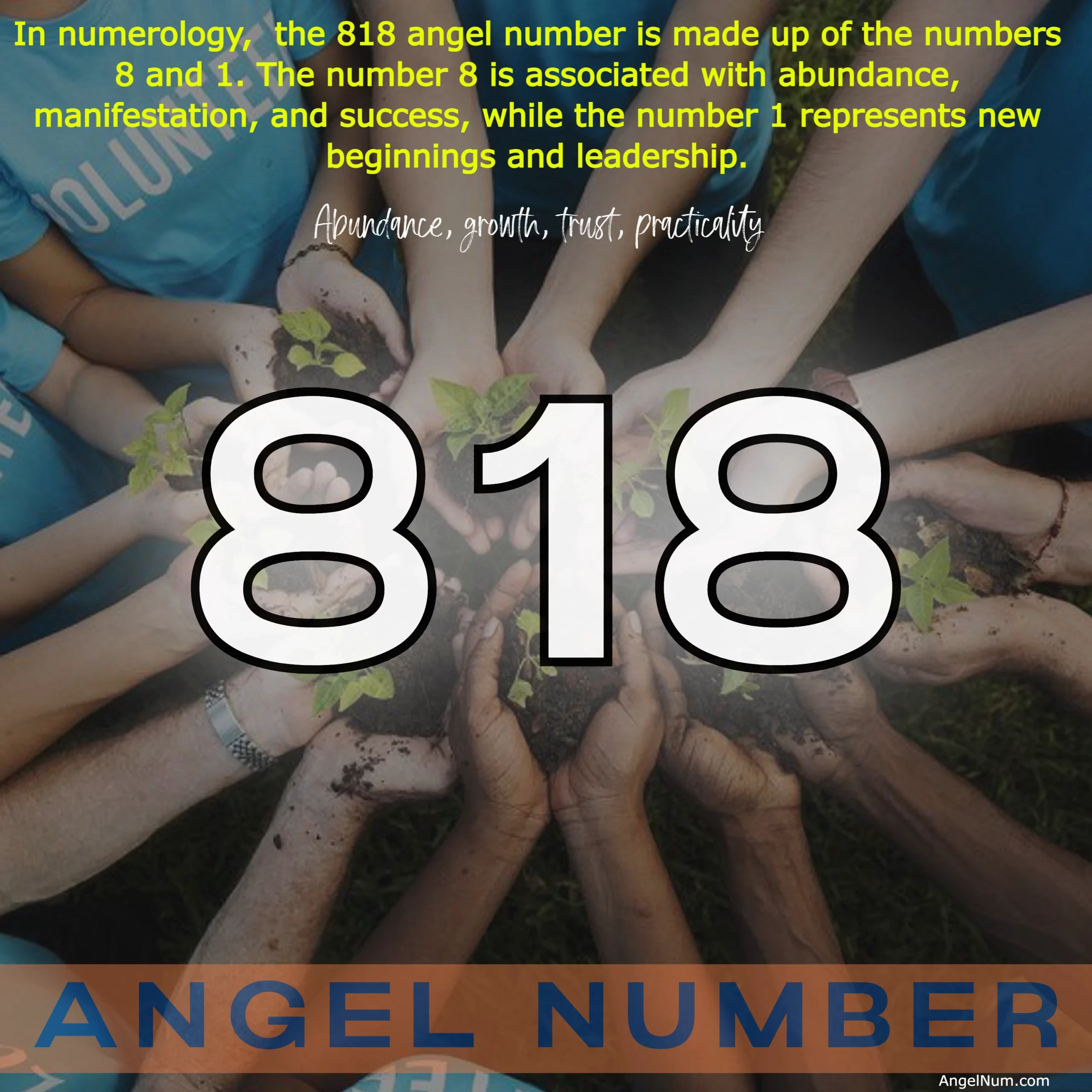 Angel Number 818: Trust in the Universe for Abundance and Growth