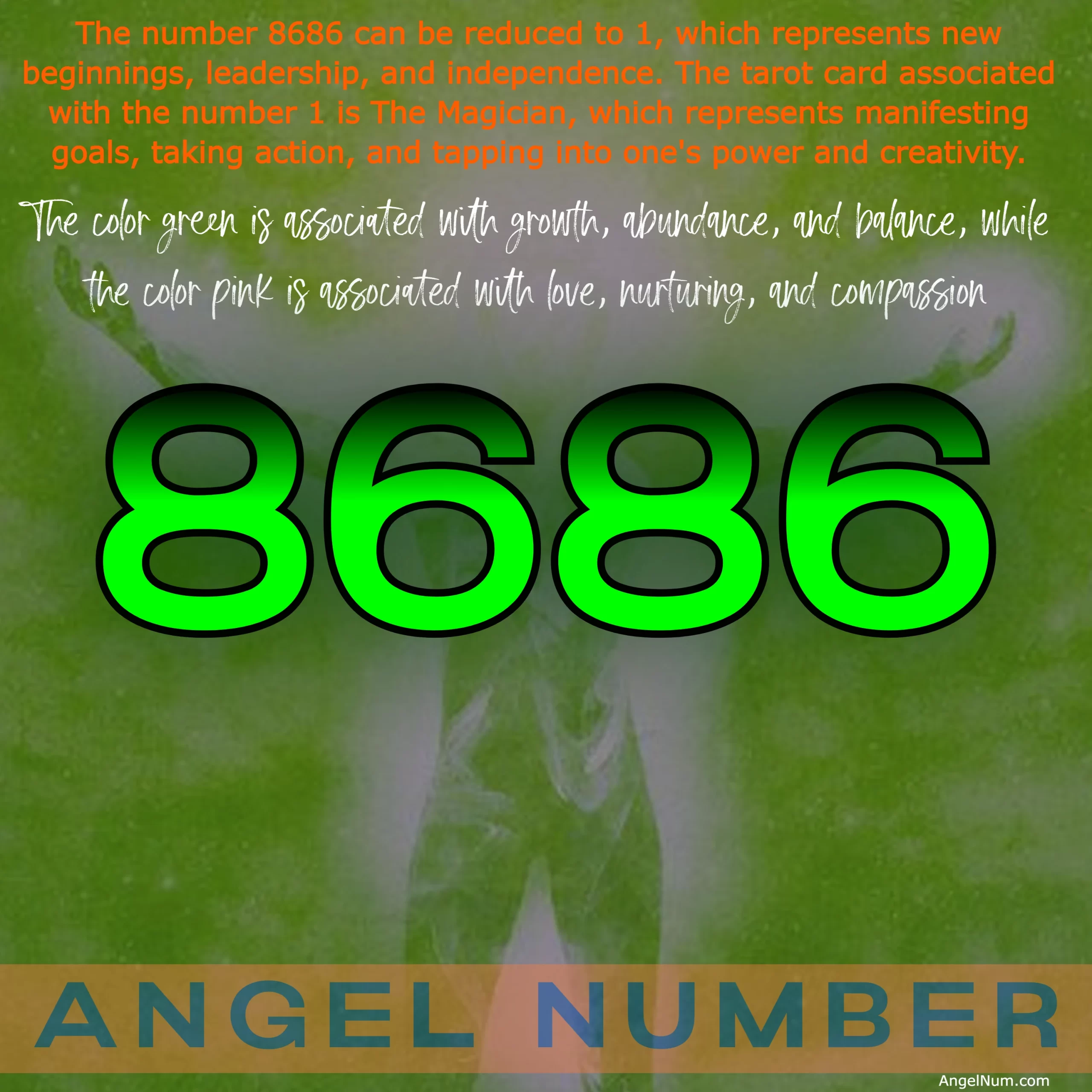 8686 angel number